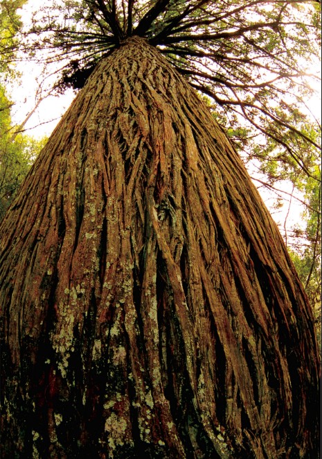 精品欧美一区二区三区久久久