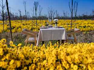 江苏盐城大地乡居·鹤影里