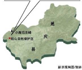 精品欧美一区二区三区久久久