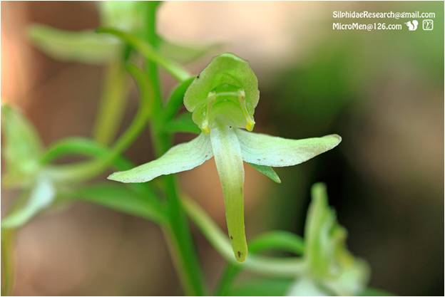 精品欧美一区二区三区久久久