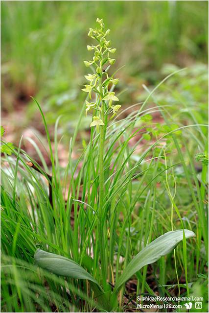 精品欧美一区二区三区久久久