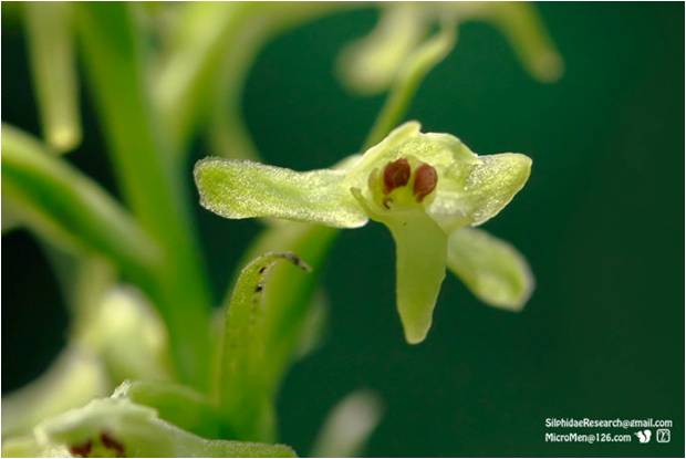 精品欧美一区二区三区久久久