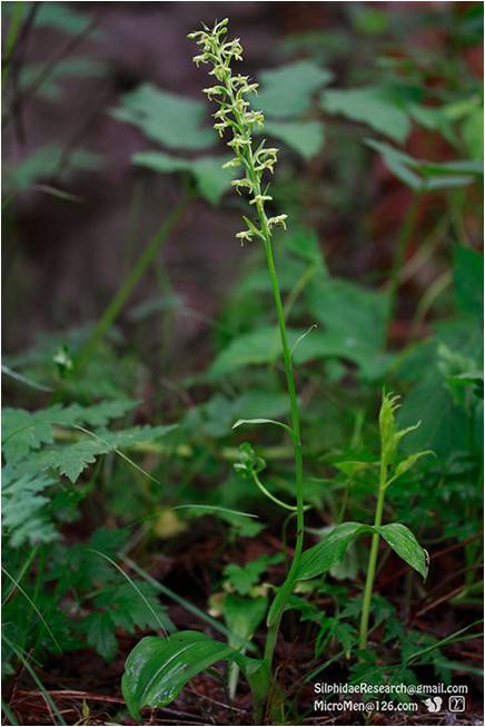 精品欧美一区二区三区久久久