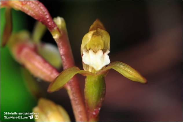 精品欧美一区二区三区久久久