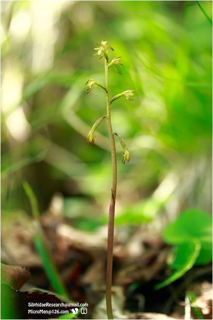精品欧美一区二区三区久久久