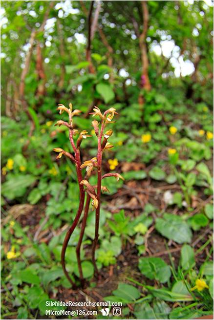 精品欧美一区二区三区久久久