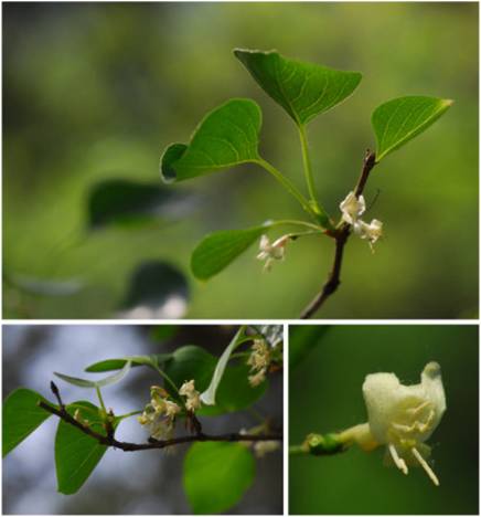 精品欧美一区二区三区久久久