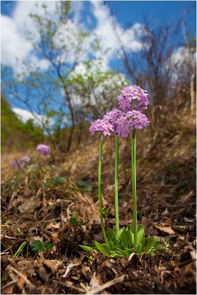 精品欧美一区二区三区久久久