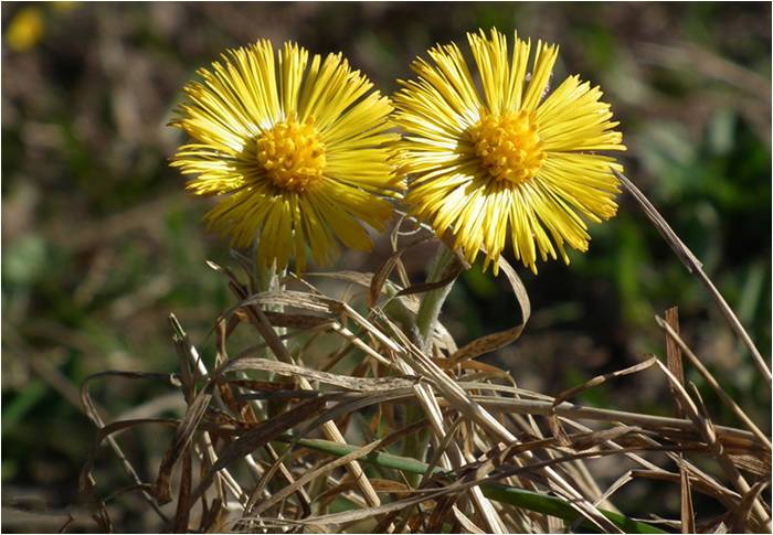 精品欧美一区二区三区久久久