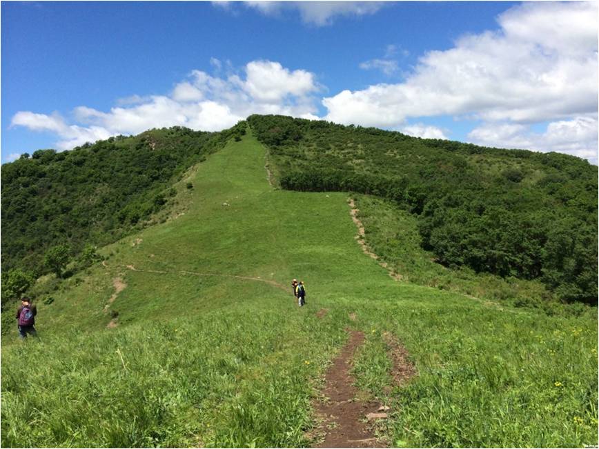 精品欧美一区二区三区久久久