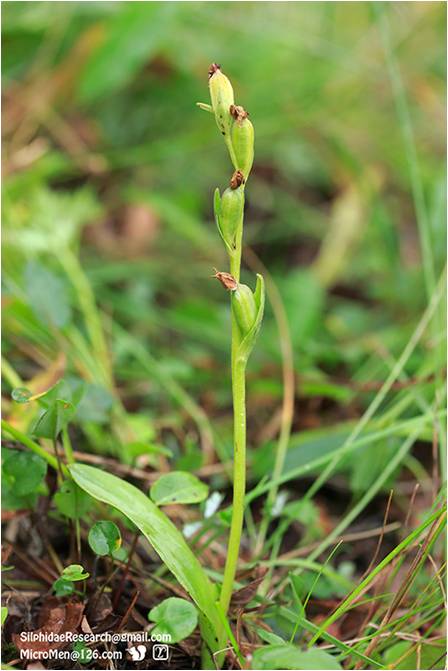 精品欧美一区二区三区久久久