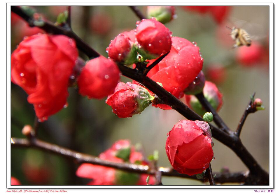 精品欧美一区二区三区久久久