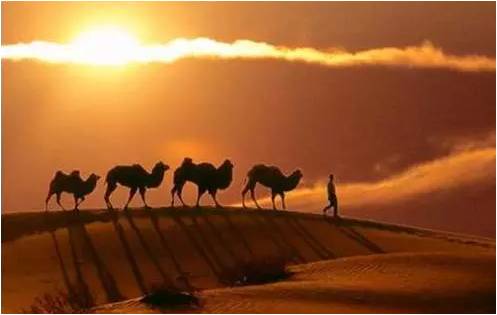 精品欧美一区二区三区久久久