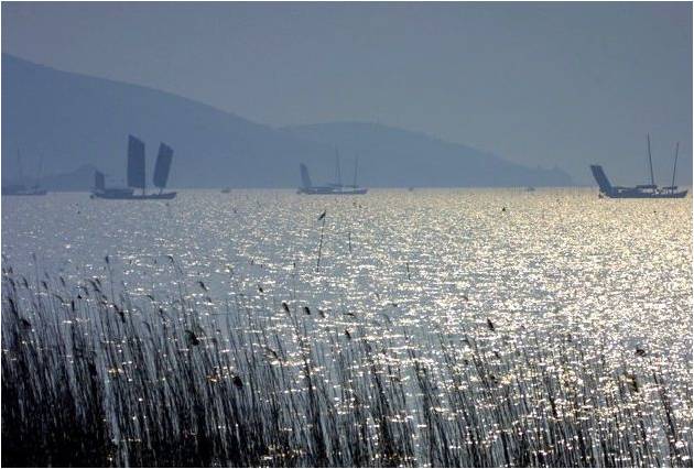 精品欧美一区二区三区久久久