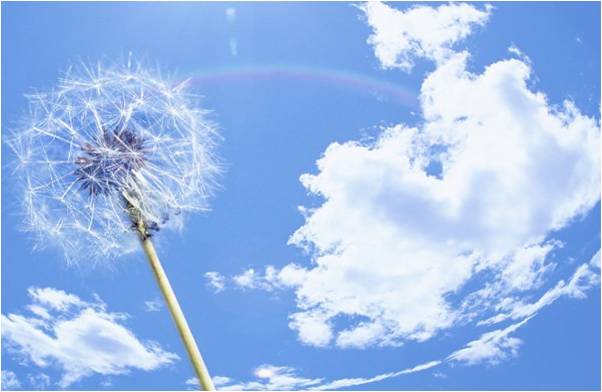 精品欧美一区二区三区久久久