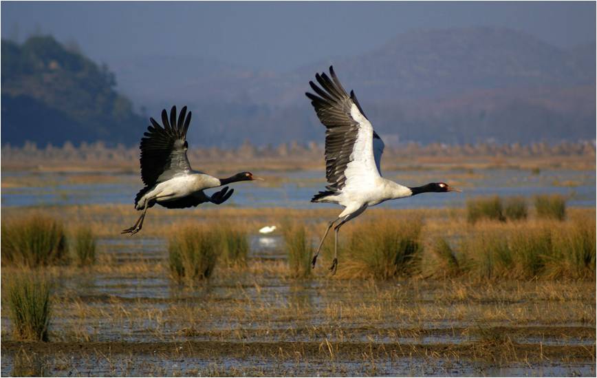 精品欧美一区二区三区久久久