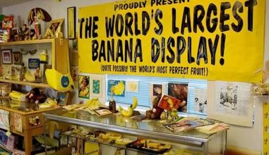 精品欧美一区二区三区久久久