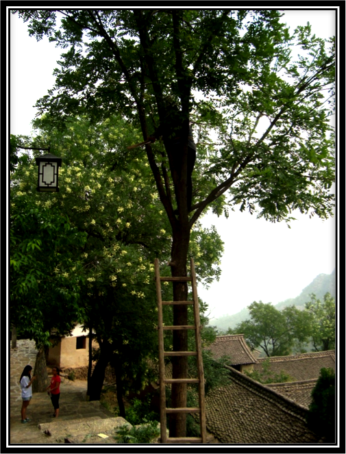 精品欧美一区二区三区久久久