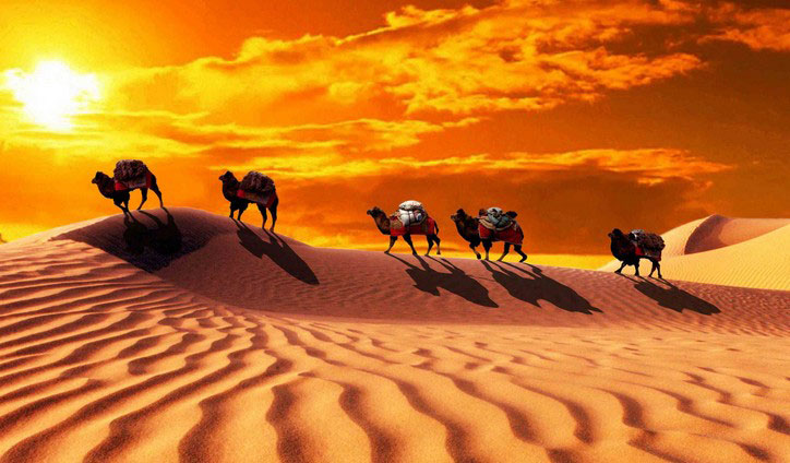 精品欧美一区二区三区久久久