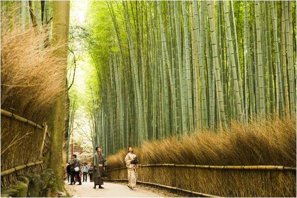 精品欧美一区二区三区久久久