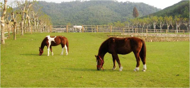 精品欧美一区二区三区久久久