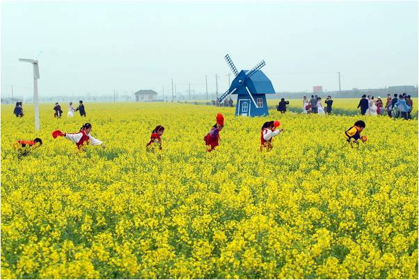 精品欧美一区二区三区久久久