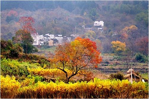 精品欧美一区二区三区久久久