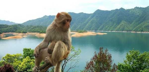 精品欧美一区二区三区久久久