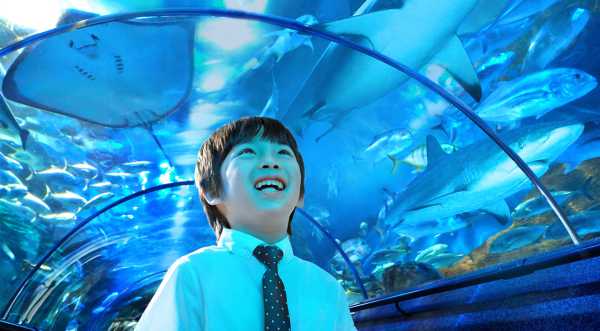 精品欧美一区二区三区久久久