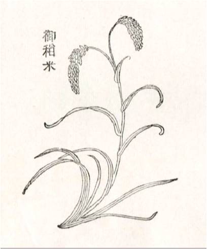 精品欧美一区二区三区久久久