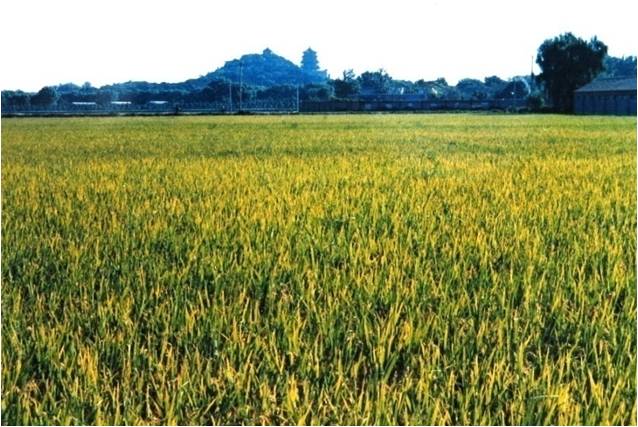 精品欧美一区二区三区久久久