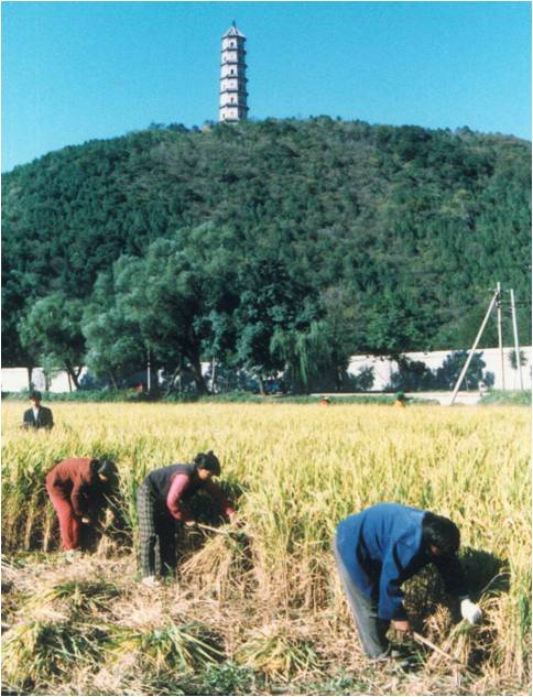 精品欧美一区二区三区久久久