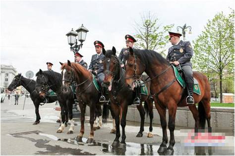 精品欧美一区二区三区久久久