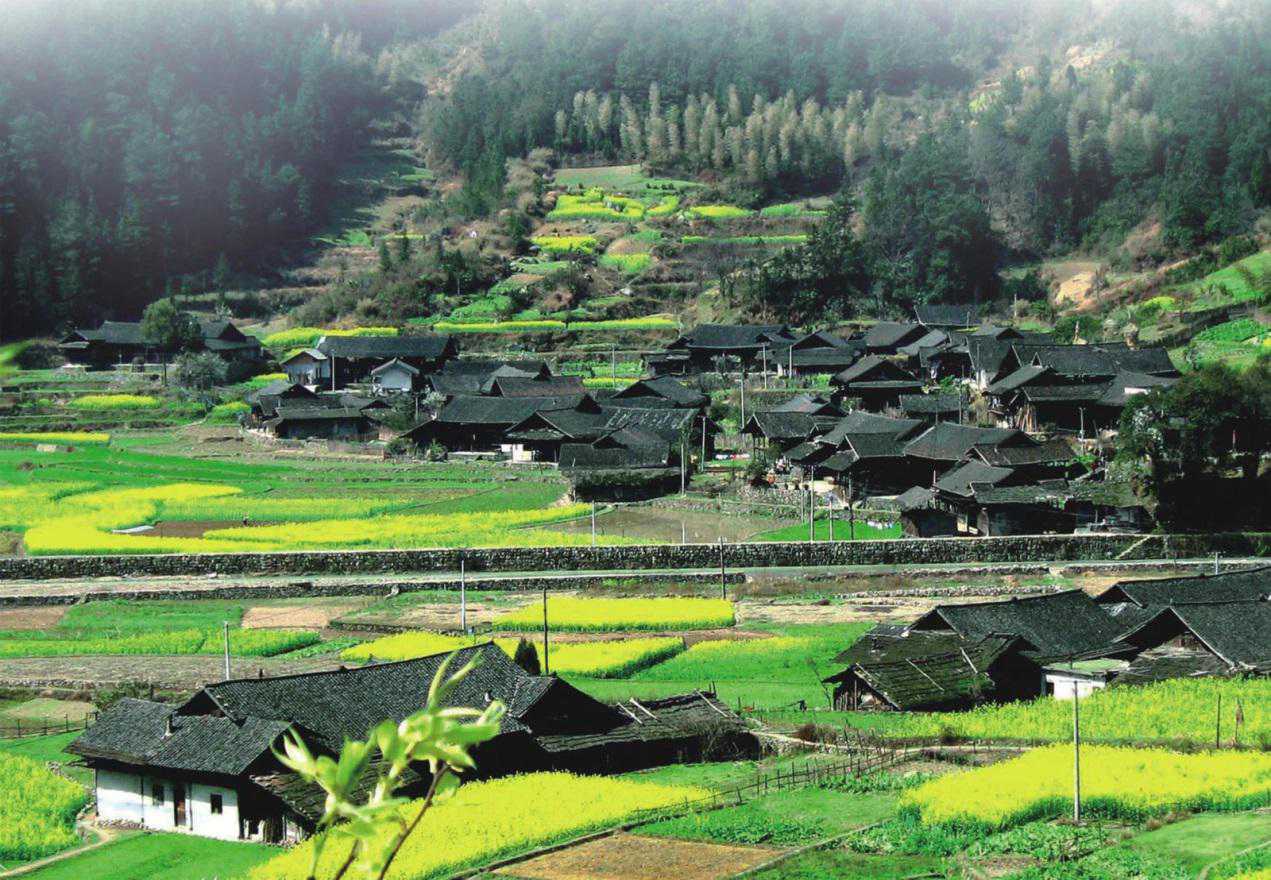 精品欧美一区二区三区久久久