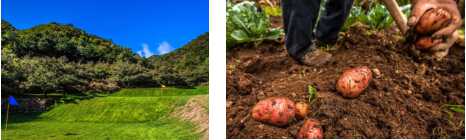 精品欧美一区二区三区久久久