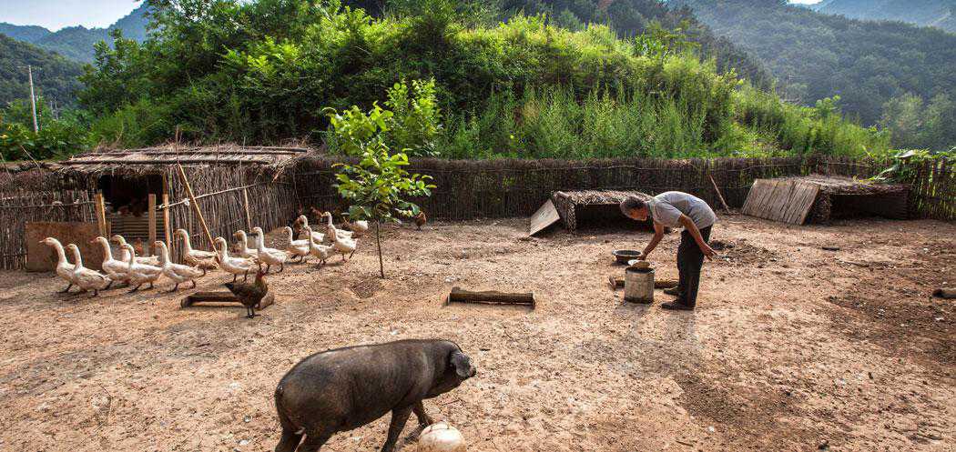 精品欧美一区二区三区久久久