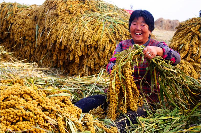 精品欧美一区二区三区久久久