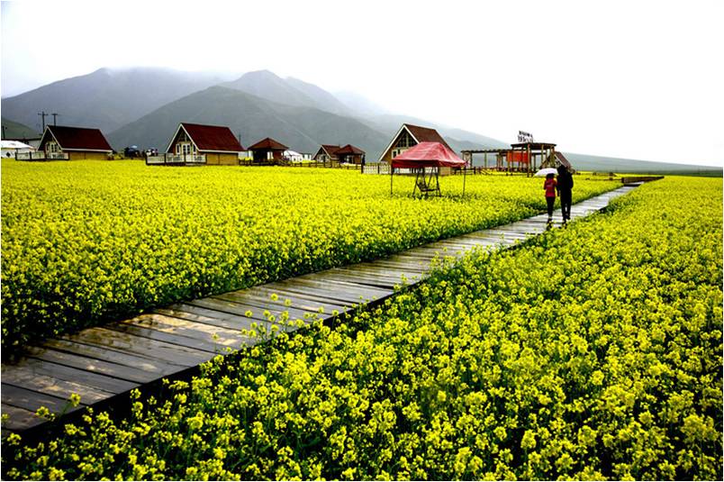 精品欧美一区二区三区久久久