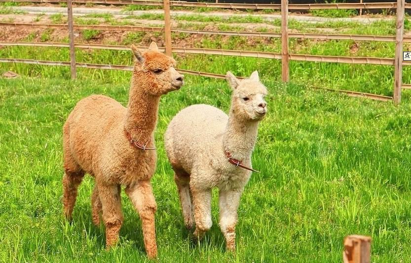 精品欧美一区二区三区久久久