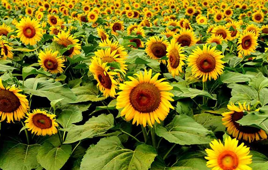 精品欧美一区二区三区久久久