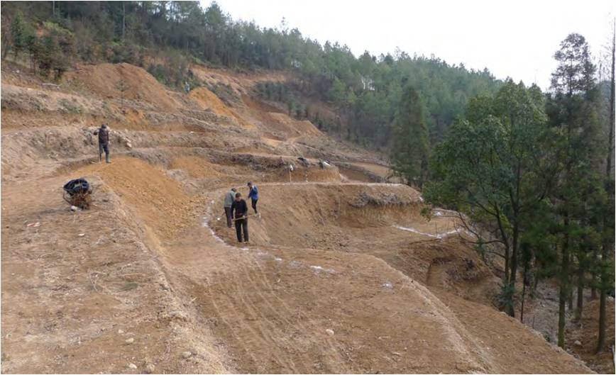 精品欧美一区二区三区久久久