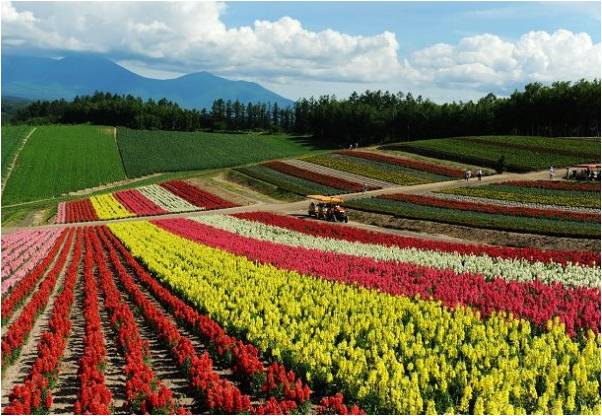 精品欧美一区二区三区久久久