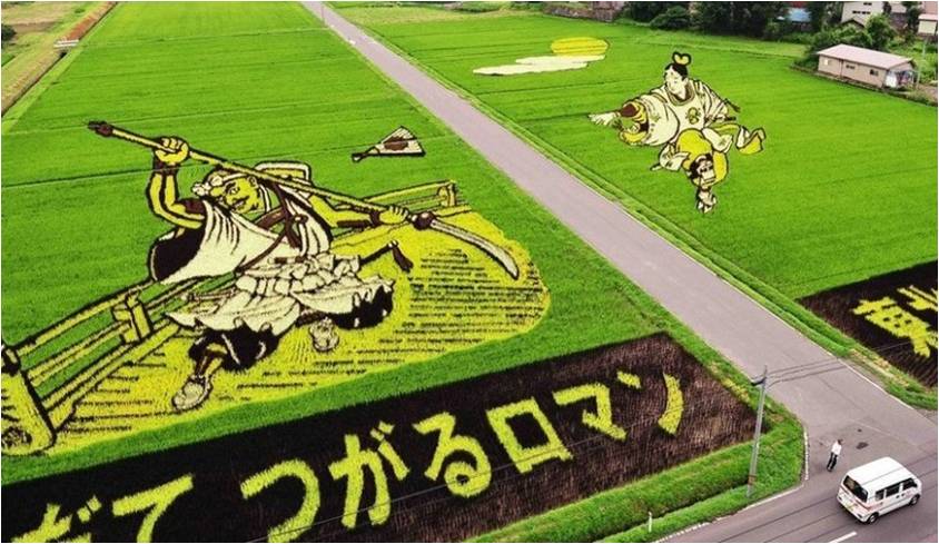 精品欧美一区二区三区久久久