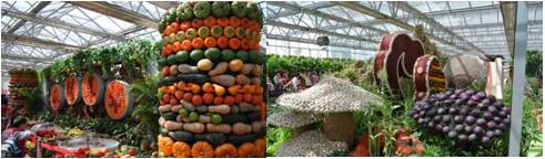 精品欧美一区二区三区久久久