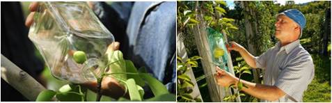 精品欧美一区二区三区久久久