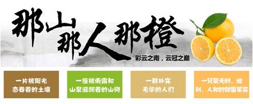 精品欧美一区二区三区久久久