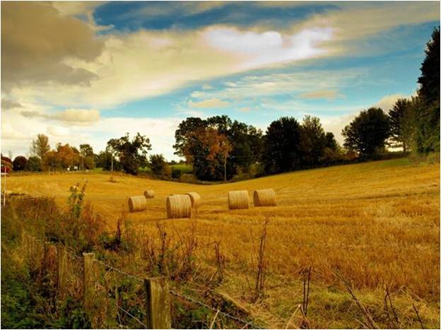 精品欧美一区二区三区久久久