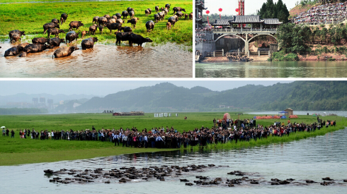 精品欧美一区二区三区久久久