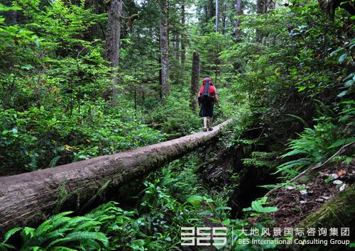 精品欧美一区二区三区久久久