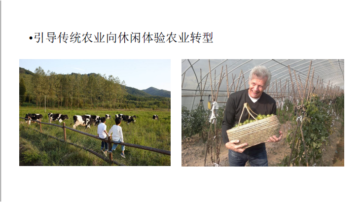 精品欧美一区二区三区久久久